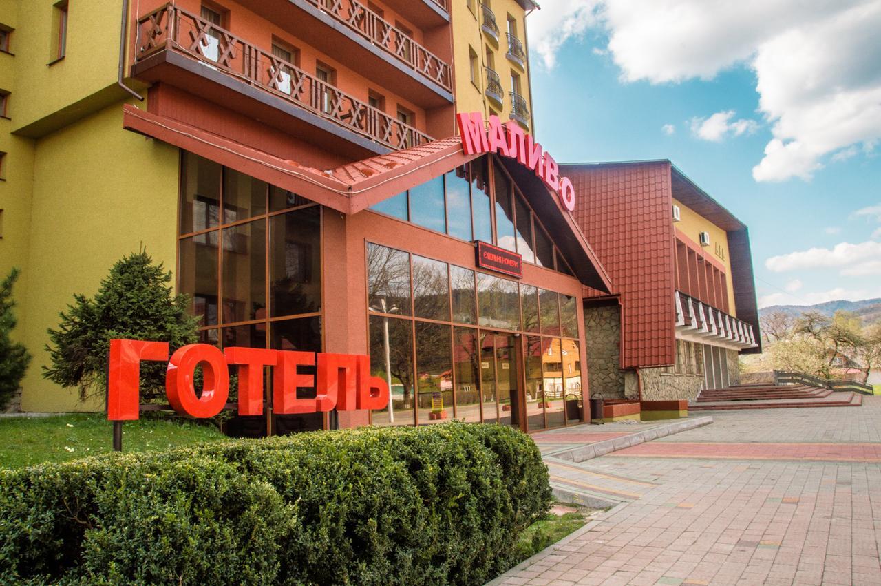 Malyvo Hotel Dilyatyn エクステリア 写真